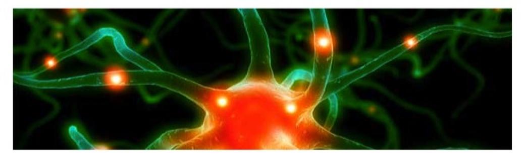 brainwaves