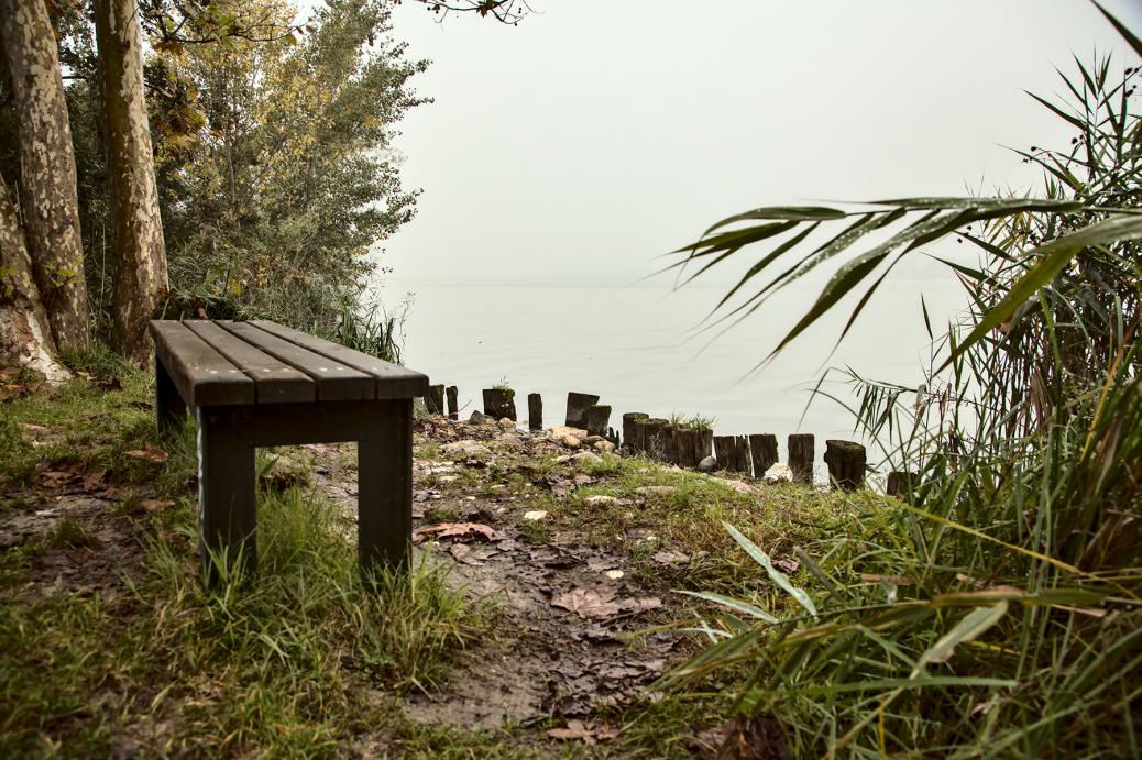 Empty bench by the water