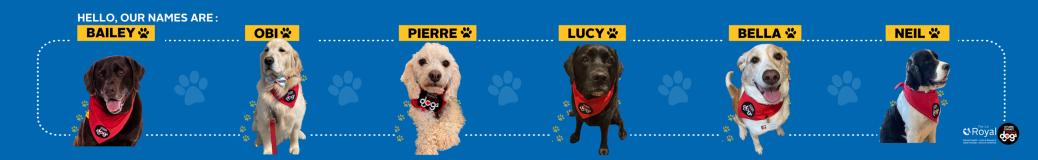 The Royal is welcoming back six very special volunteers from Ottawa Therapy Dogs.