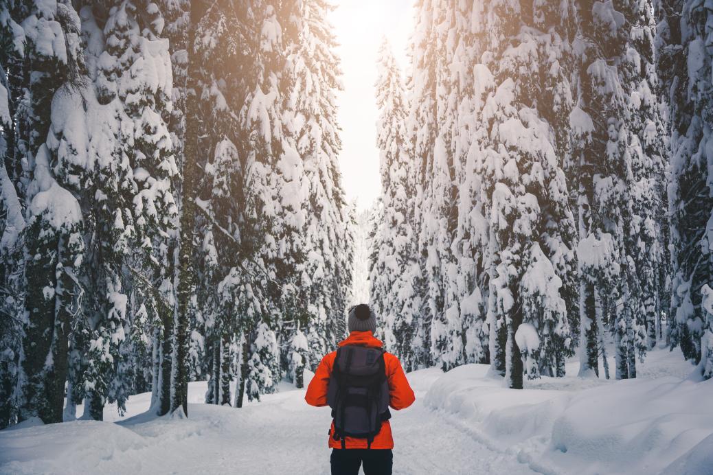 Man standing on a path in a foresst