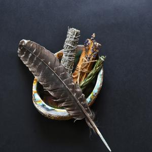 A feather with sweetgrass, sage, cedar, and tobacco in a shell