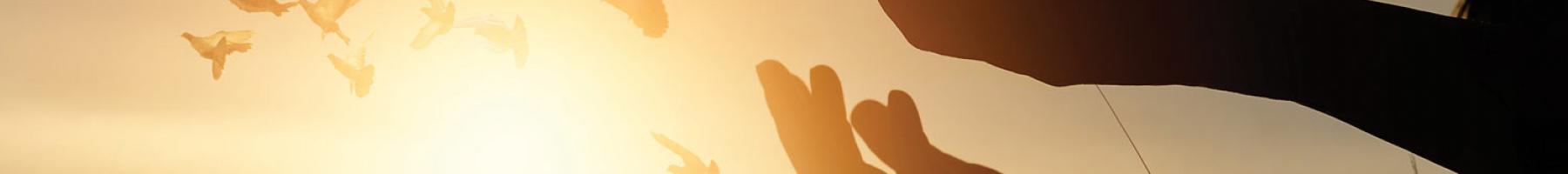 Hands reaching out into the sunset Hands reaching out into the sunset
