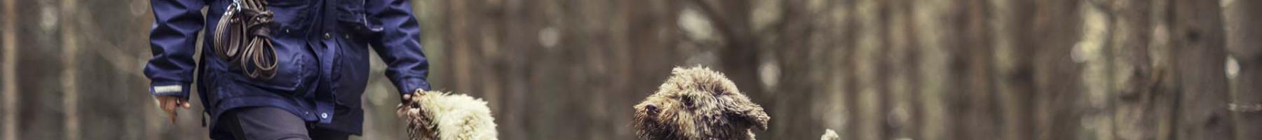 Encouraging family caregivers toward a balanced lifestyle Woman walking dogs