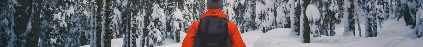 L’importance de l’esprit : un examen du trouble de stress post-traumatique, des troubles liés à la consommation de substances et de la culpabilité liée aux traumatismes Un homme debout sur un chemin dans une forêt