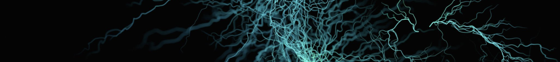 Strategic Research Plan Neurons