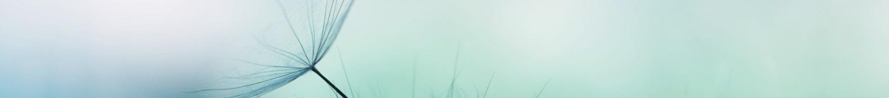 Prolonged exposure (PE)
for posttraumatic stress disorder Dandillions