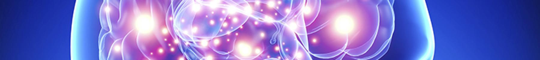 Neurons