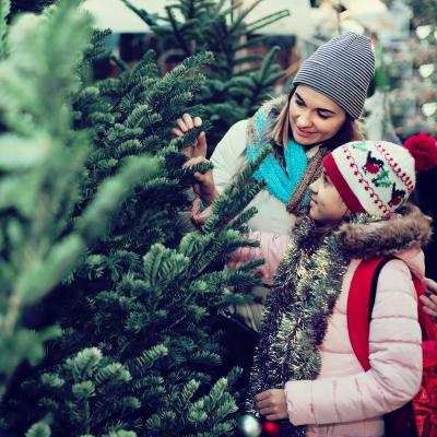 Une mère et sa fille achètent un arbre de Noël
