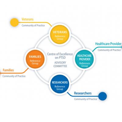 flowchart explaining the Centre of Excellence's network of networks