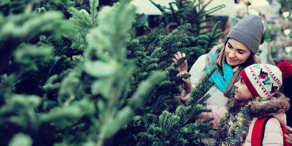 Une mère et sa fille achètent un arbre de Noël