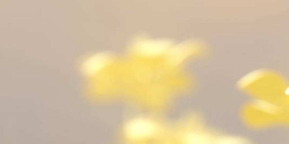 Decorative background